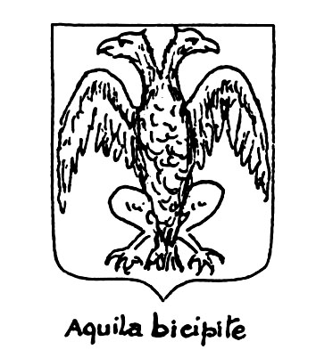 Image of the heraldic term: Aquila bicipite